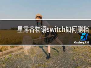 星露谷物语switch如何删档
