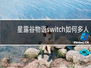 星露谷物语switch如何多人