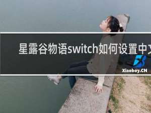 星露谷物语switch如何设置中文