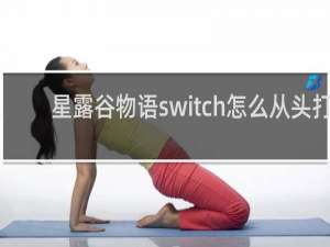 星露谷物语switch怎么从头打