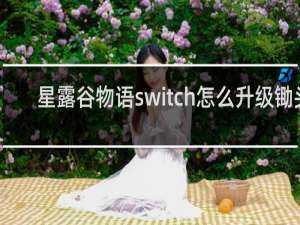星露谷物语switch怎么升级锄头