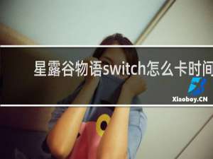 星露谷物语switch怎么卡时间