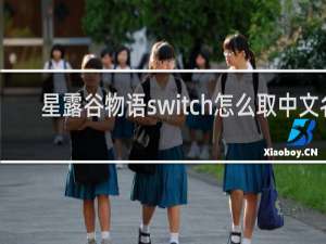 星露谷物语switch怎么取中文名