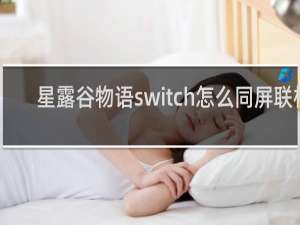 星露谷物语switch怎么同屏联机