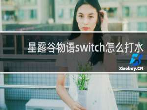 星露谷物语switch怎么打水