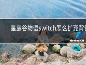 星露谷物语switch怎么扩充背包