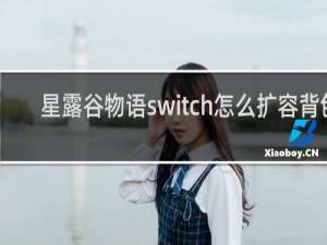 星露谷物语switch怎么扩容背包