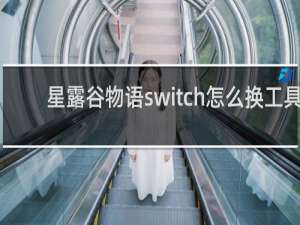 星露谷物语switch怎么换工具