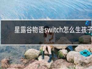 星露谷物语switch怎么生孩子