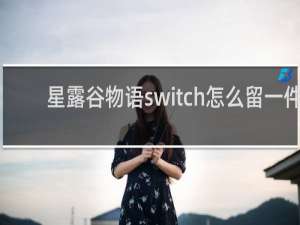 星露谷物语switch怎么留一件
