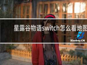 星露谷物语switch怎么看地图