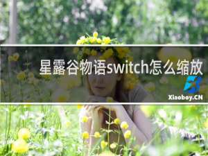 星露谷物语switch怎么缩放