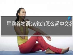 星露谷物语switch怎么起中文名字