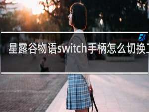 星露谷物语switch手柄怎么切换工具