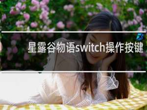 星露谷物语switch操作按键
