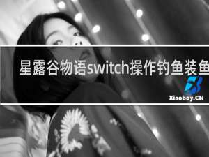 星露谷物语switch操作钓鱼装鱼饵