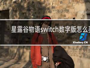 星露谷物语switch数字版怎么买