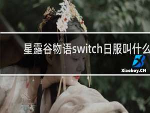 星露谷物语switch日服叫什么