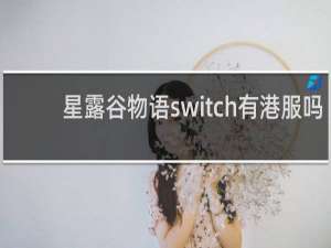 星露谷物语switch有港服吗