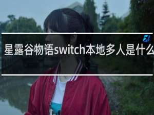星露谷物语switch本地多人是什么意思