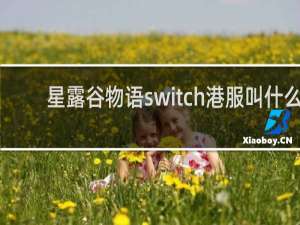 星露谷物语switch港服叫什么