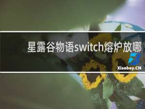 星露谷物语switch熔炉放哪