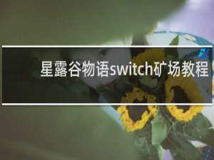 星露谷物语switch矿场教程