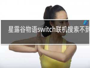 星露谷物语switch联机搜索不到人