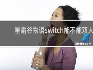 星露谷物语switch能不能双人