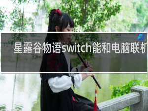 星露谷物语switch能和电脑联机吗