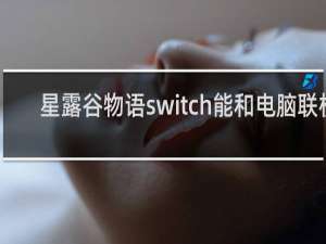 星露谷物语switch能和电脑联机
