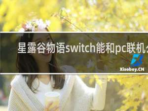 星露谷物语switch能和pc联机么