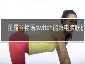 星露谷物语switch能跟电脑联机吗