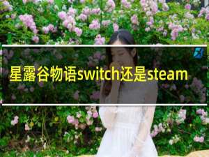 星露谷物语switch还是steam