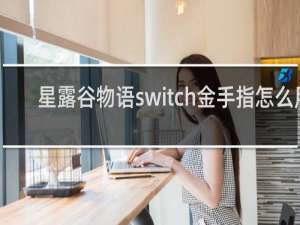 星露谷物语switch金手指怎么用