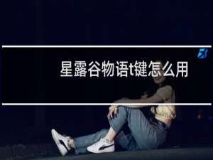 星露谷物语t键怎么用