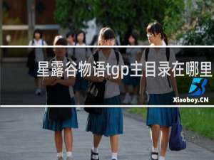 星露谷物语tgp主目录在哪里