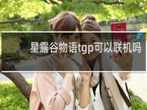 星露谷物语tgp可以联机吗