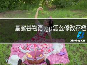 星露谷物语tgp怎么修改存档