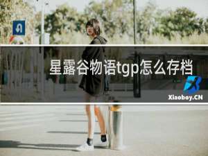 星露谷物语tgp怎么存档