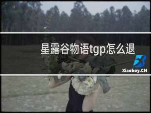 星露谷物语tgp怎么退