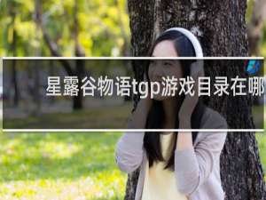 星露谷物语tgp游戏目录在哪
