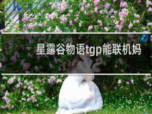 星露谷物语tgp能联机妈