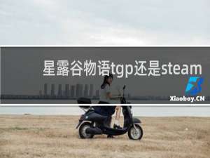星露谷物语tgp还是steam