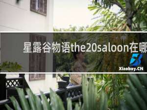 星露谷物语the saloon在哪