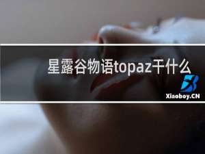 星露谷物语topaz干什么