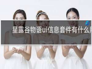 星露谷物语ui信息套件有什么用