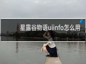 星露谷物语uiinfo怎么用