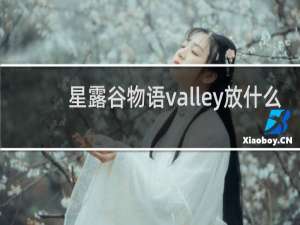 星露谷物语valley放什么