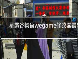 星露谷物语wegame修改器最新